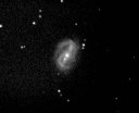 NGC6217 in  Ursa Minor